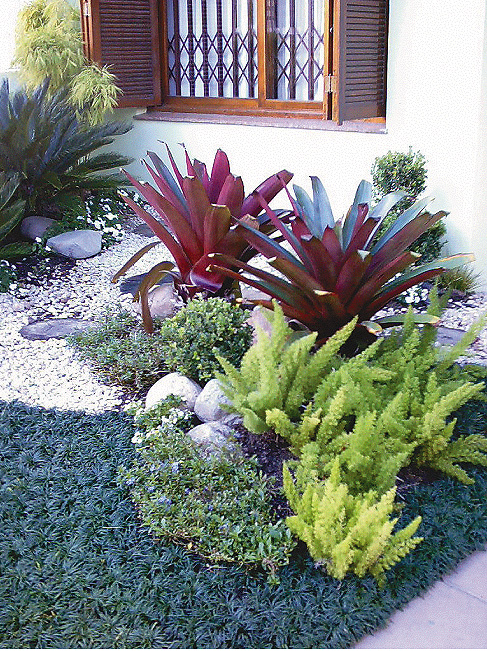 esqueça de cuidar diariamente do seu jardim pequeno externo para que esqueça de cuidar diariamente do seu jardim pequeno externo para que