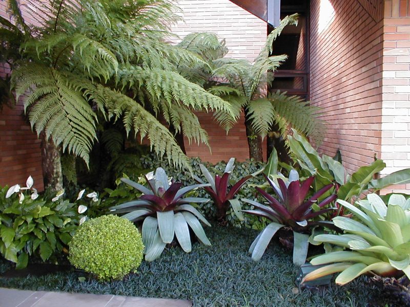 Jardins Pequenos Bonitos E Baratos Pictures to pin on Pinterest Jardins Pequenos Bonitos E Baratos Pictures to pin on Pinterest