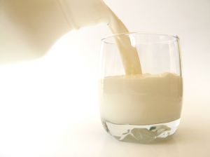 Dieta do leite para emagrecer