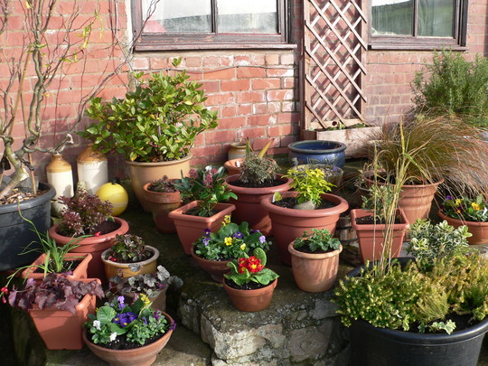 Jardins Pequenos: Saiba como Montar em Casa, Dicas para Decoração