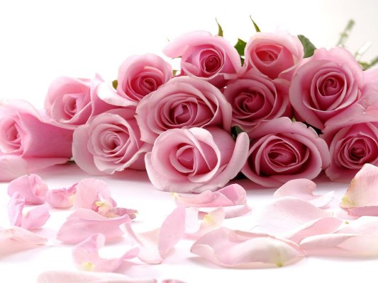 Significados das flores nos casamentos